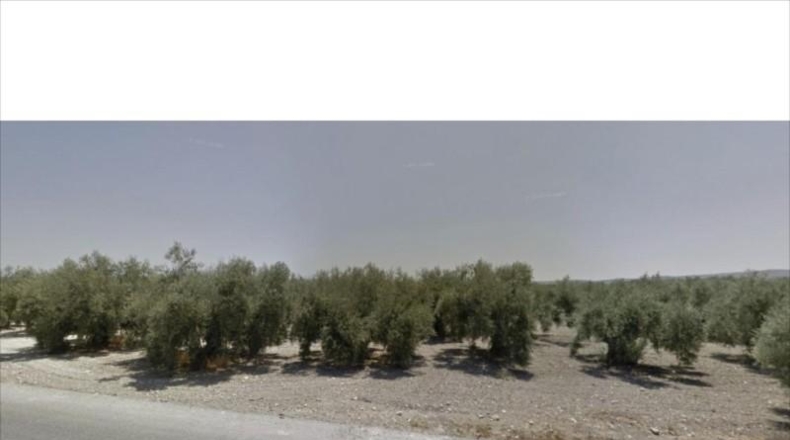 Córdoba - Lucena - 39000m2