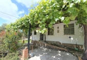 Terreny no urbanitzable en venda a la España, Prado del Rey, ref.: TR282516 foto
