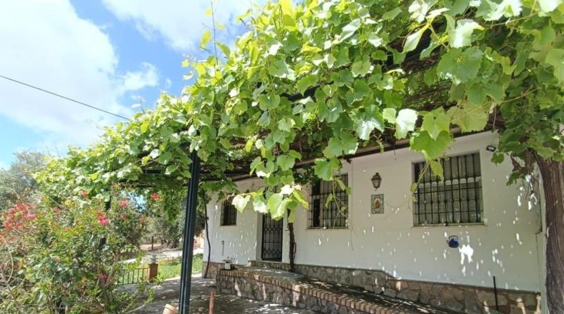 Cádiz - Prado del Rey - 40000m2