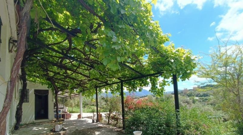 Cádiz - Prado del Rey - 40000m2