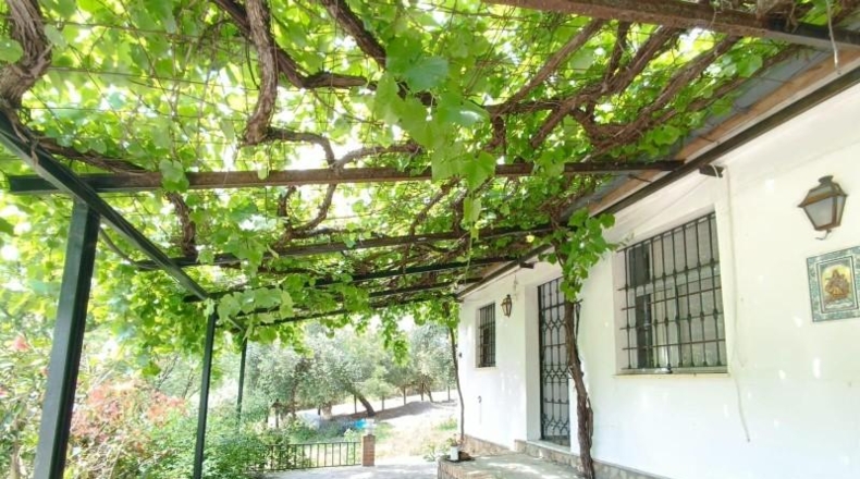 Cádiz - Prado del Rey - 40000m2