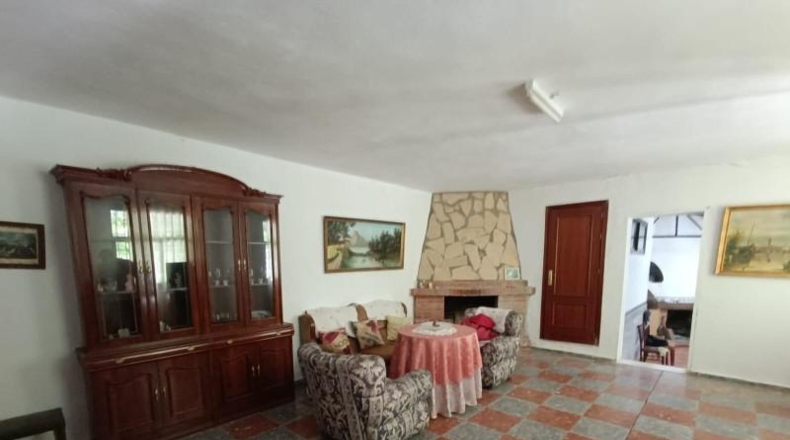 Cádiz - Prado del Rey - 40000m2