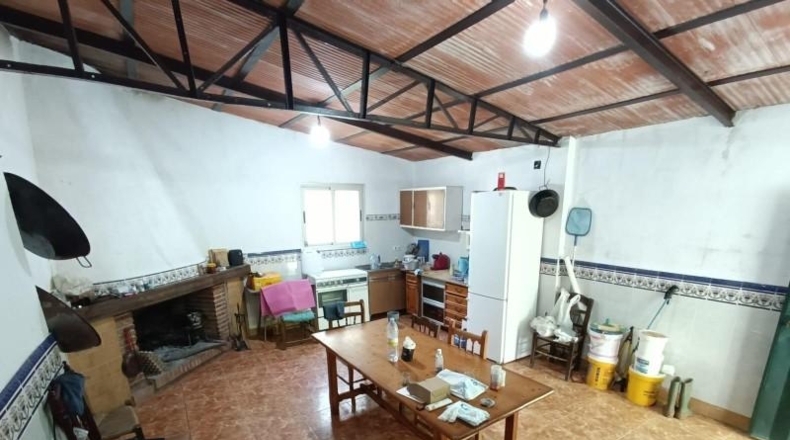 Cádiz - Prado del Rey - 40000m2