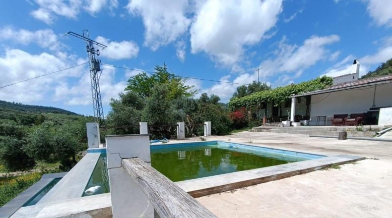 Cádiz - Prado del Rey - 40000m2