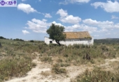 Casa de camp amb terreny en venda a la España, Medina Sidonia, ref.: TR281948 foto