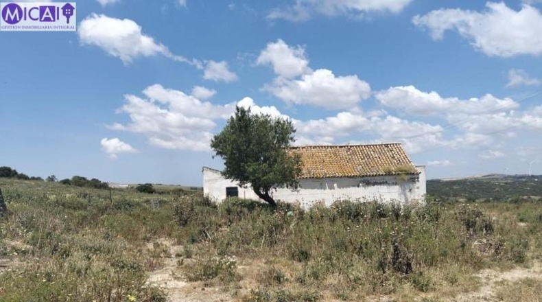 Cádiz - Medina Sidonia - 30000m2