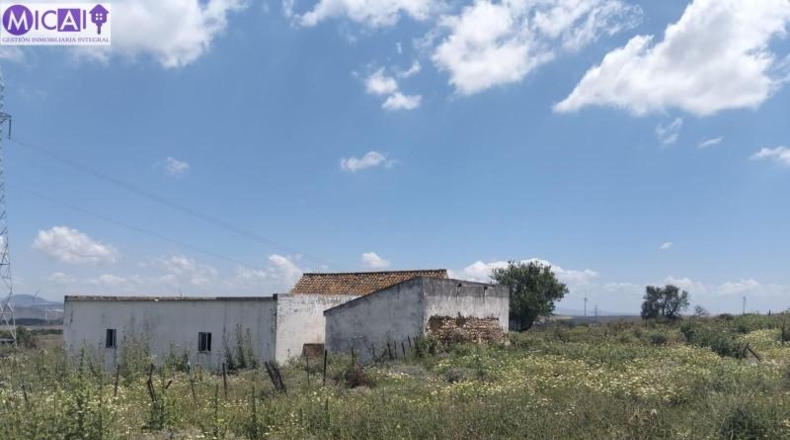 Cádiz - Medina Sidonia - 30000m2