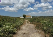 Casa de camp amb terreny en venda a la España, Medina Sidonia, ref.: TR281948 foto