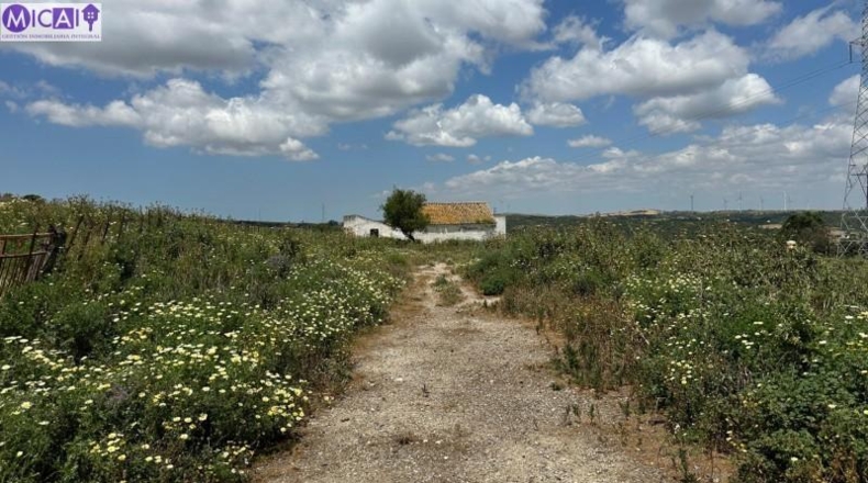 Cádiz - Medina Sidonia - 30000m2