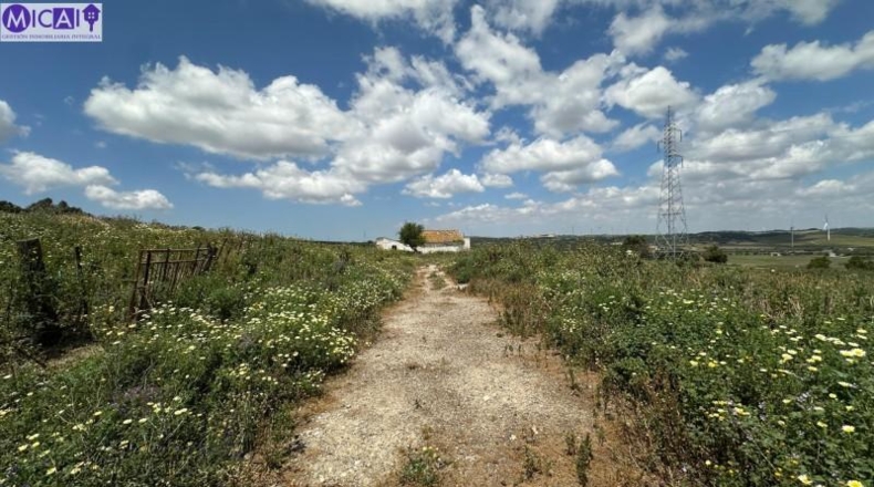 Cádiz - Medina Sidonia - 30000m2