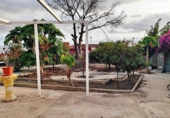 Casa de pueblo en venta en la España, Murcia, ref: TR329958 foto