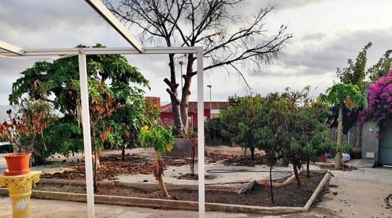 Murcia - Мурсия - 500m2