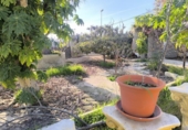 Casa de pueblo en venta en la España, Murcia, ref: TR329958 foto