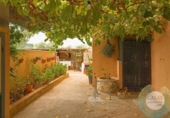 Xalet independent amb terreny en venda a la España, Xerta, ref.: TR337257 foto