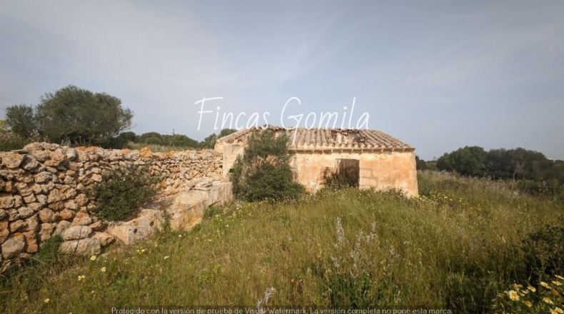 Balearic Islands - Torret - 84000m2