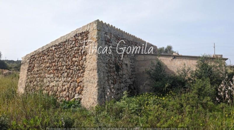 Balearic Islands - Torret - 84000m2