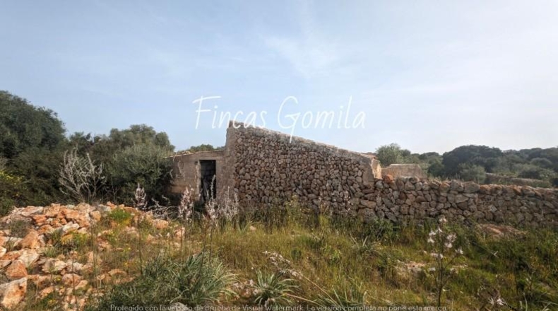 Balearic Islands - Torret - 84000m2