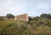 Non-developable land for sale on España, Sant Lluís, ref: TR129007 photo