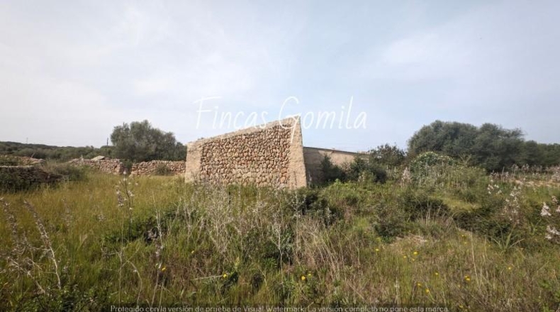 Balearic Islands - Torret - 84000m2