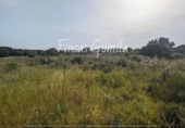 Non-developable land for sale on España, Sant Lluís, ref: TR129007 photo