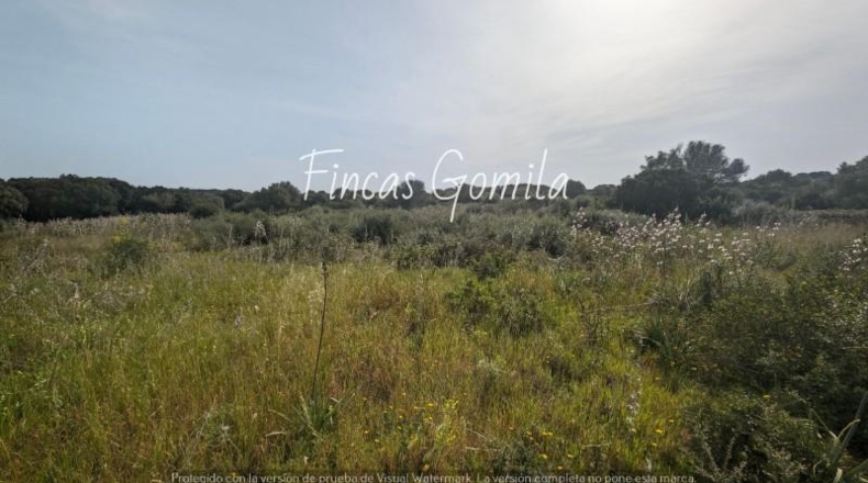 Balearic Islands - Torret - 84000m2