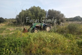 Sant Lluís 84000&nbsp;м²