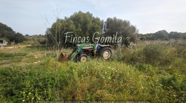 Balearic Islands - Torret - 84000m2