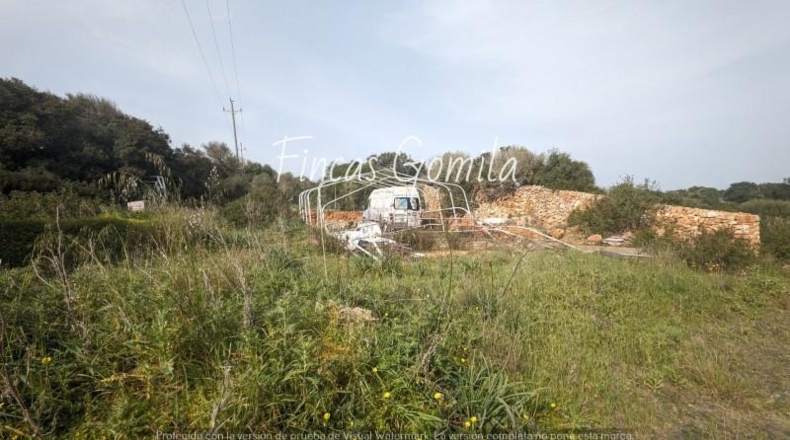 Balearic Islands - Torret - 84000m2