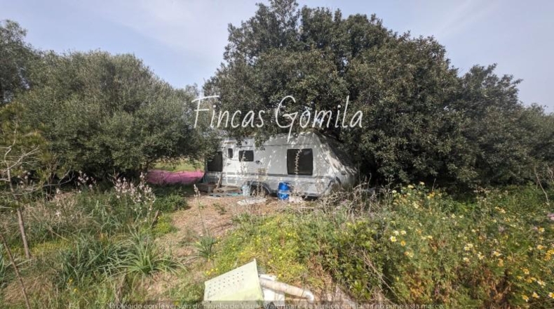 Balearic Islands - Torret - 84000m2