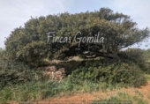 Non-developable land for sale on España, Sant Lluís, ref: TR129007 photo