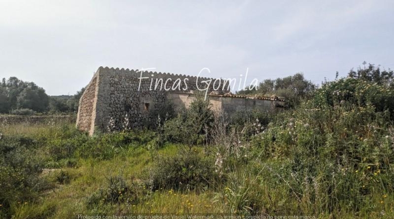 Balearic Islands - Torret - 84000m2