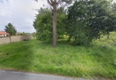 Land suitable for development for sale on España, Sanxenxo, ref: TR117513 photo