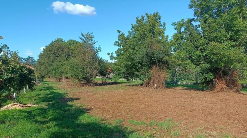Pontevedra - Sanxenxo - 4125m2