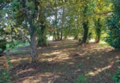 Land suitable for development for sale on España, Sanxenxo, ref: TR117513 photo
