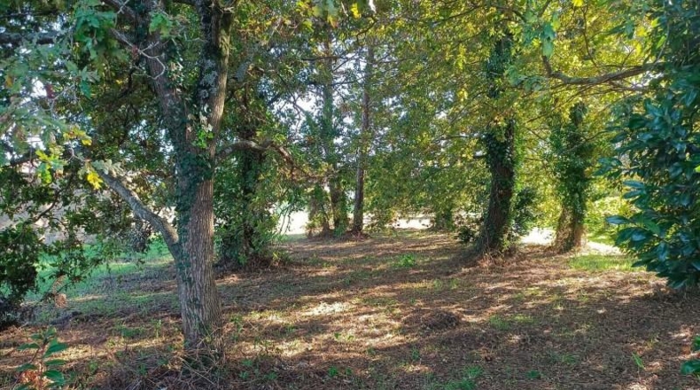 Pontevedra - Sanxenxo - 4125m2