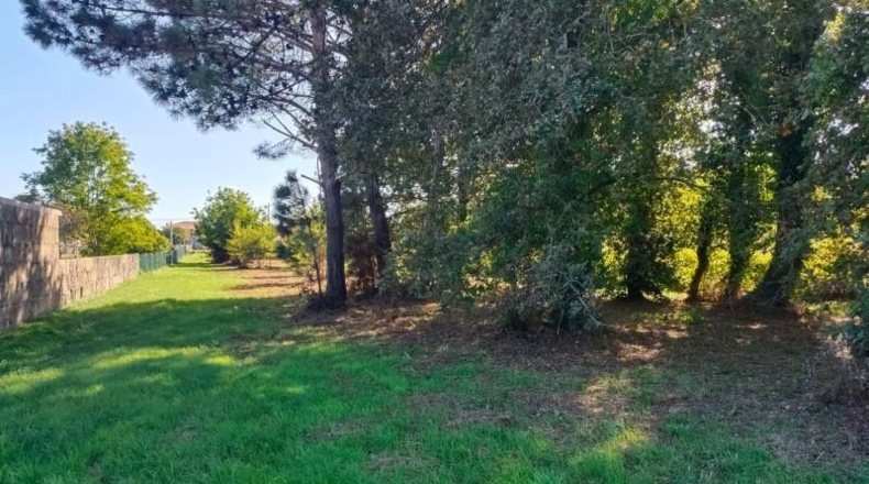 Pontevedra - Sanxenxo - 4125m2