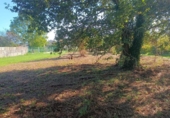 Land suitable for development for sale on España, Sanxenxo, ref: TR117513 photo