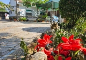 Detached villa with land for sale on España, Albacete, ref: TR338276 photo
