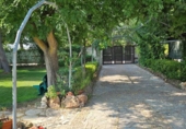 Detached villa with land for sale on España, Albacete, ref: TR338276 photo