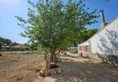 Detached villa with land for sale on España, Albacete, ref: TR338276 photo