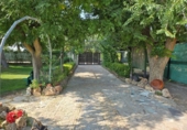 Detached villa with land for sale on España, Albacete, ref: TR338276 photo