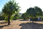 Casa amb terreny en venda a la España, Espartinas, ref.: TR347287 foto