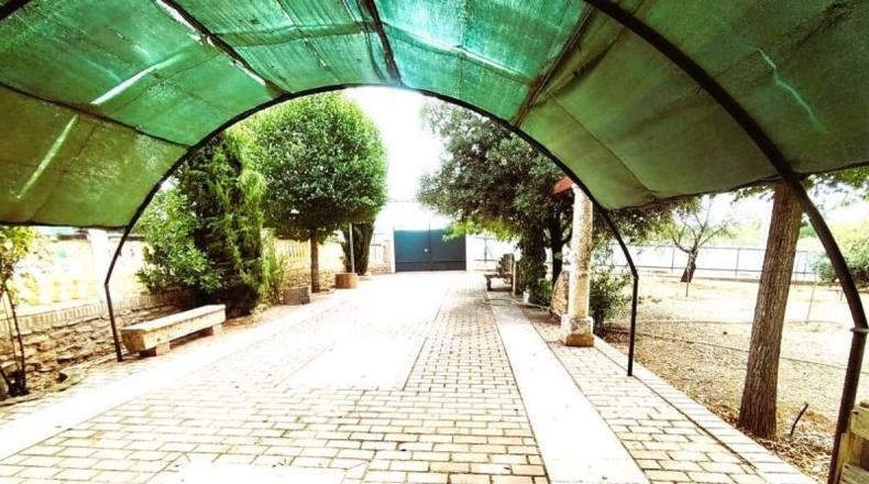 Ciudad Real - Valdepeñas - 2800m2