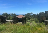 Finca rústica en venda a la España, Santa Uxía de Ribeira, ref.: TR279678 foto