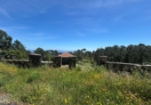 Finca rústica en venda a la España, Santa Uxía de Ribeira, ref.: TR279678 foto