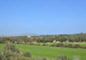Xalet independent amb terreny en venda a la España, Muro, ref.: TR245233 foto