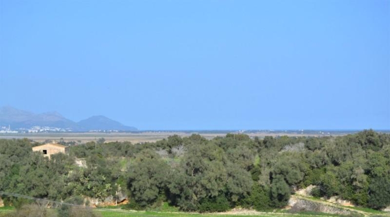 Balearic Islands - Muro - 22239m2