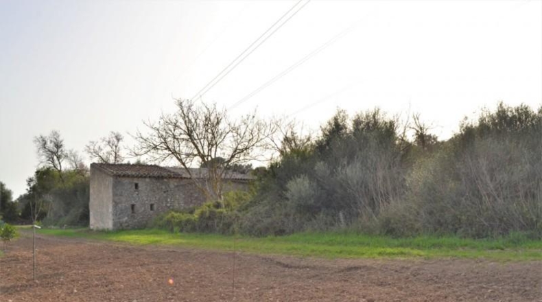 Balearic Islands - Muro - 22239m2