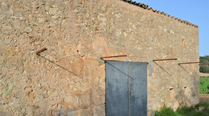 Balearic Islands - Muro - 22239m2