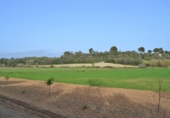 Xalet independent amb terreny en venda a la España, Muro, ref.: TR245233 foto